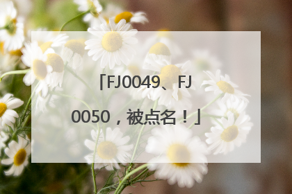 FJ0049、FJ0050，被点名！
