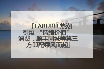 LABUBU 热潮引爆 “情绪价值” 消费，顺丰同城等第三方即配乘风而起
