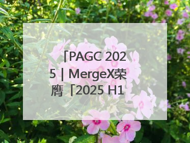 PAGC 2025｜MergeX荣膺「2025 H1 出海新势力奖」